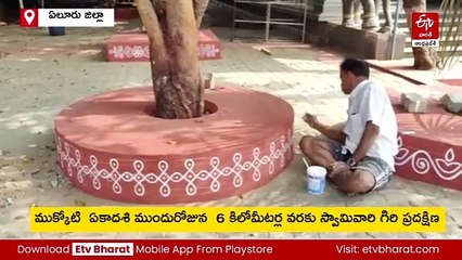 శోభాయమానంగా ముస్తాబవుతున్న ద్వారకా తిరుమల-ముక్కోటి ఏకాదశి సందర్భంగా జోరుగా ఏర్పాట్లు