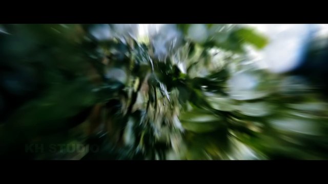 Rambo 6: New Blood - First Trailer | Sylvester Stallone, Jon Bernthal