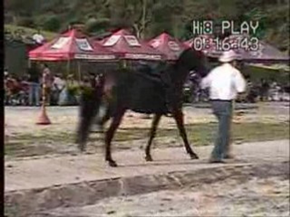 CARBONERA LA N° 4