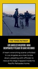 Los Angeles Wildfire: Man Desperately Pleads to Save His Dogs