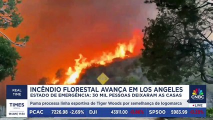 Incêndio florestal avança em Los Angeles, que decreta estado de emergência