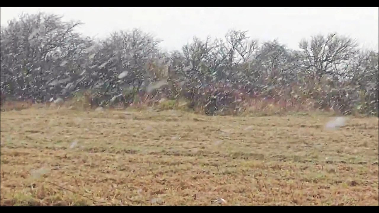 Snow in Devil's Dyke