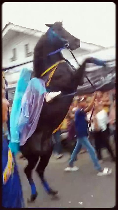 atraksi kuda jingkak