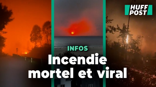Sur les réseaux, les vidéos des incendies à LA plus effrayantes les unes que les autres