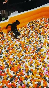 #5402This Trampoline Is🤣🥱😲So Fun! Why Didn't We Just Start Jumping AroundLikeThisWhen WeWereKids