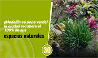 ¡Medellín se pone verde! la ciudad recupera el 100% de sus espacios naturales