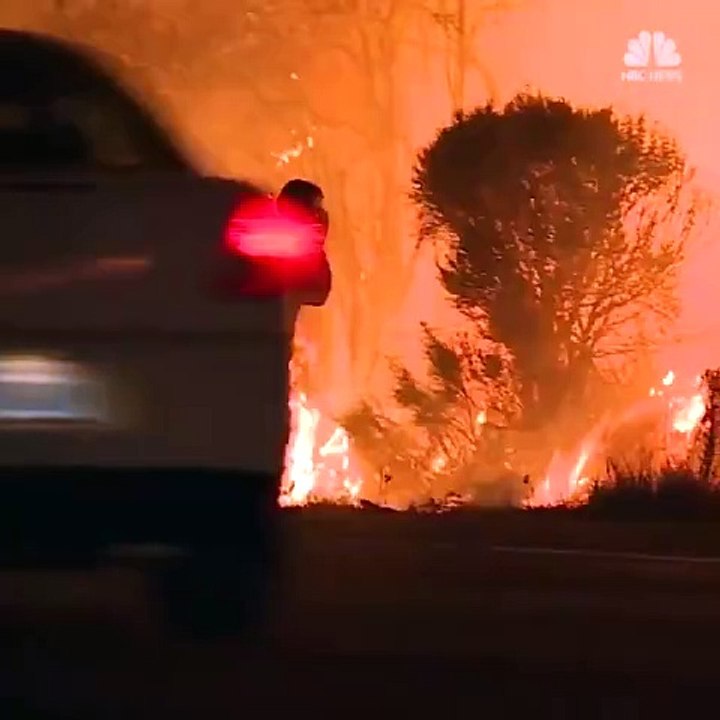 Wildfires Destroy Southern California: Pacific Palisades Fire Spreads to Over 2,900 Acres