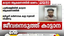 വയനാട് പുൽപ്പള്ളിയിൽ കാട്ടാന ആക്രമണത്തിൽ 22കാരൻ കൊല്ലപ്പെട്ടു; മരിച്ചത് കർണാടക കുട്ട സ്വദേശി