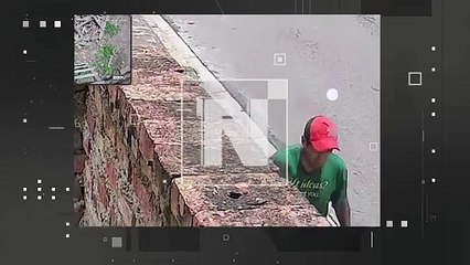 VIDEO: ¿Aficionado a la música? Ladrón robó instrumentos del grupo “Ajara del Ande”