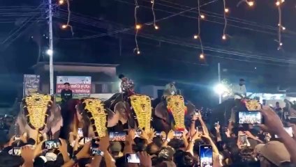 At least 23 injured after elephant attack at festival in India