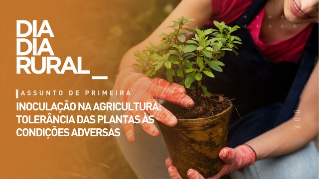 Inoculação na agricultura: tolerância das plantas às condições adversas