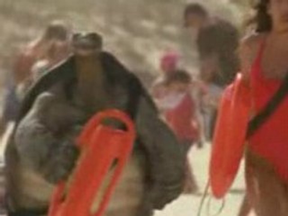 Pub - Full Transmition (tortue)