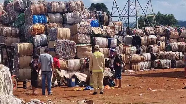 Corpo de Bombeiros é mobilizado para capturar cobra Cascavel no bairro Santa Felicidade