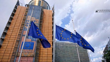 L'UE face aux critiques de Trump et Musk : un silence qui interroge