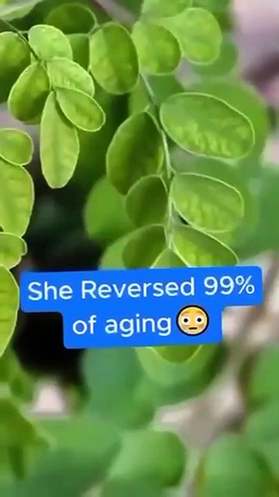 Moringa Magic. Useful information