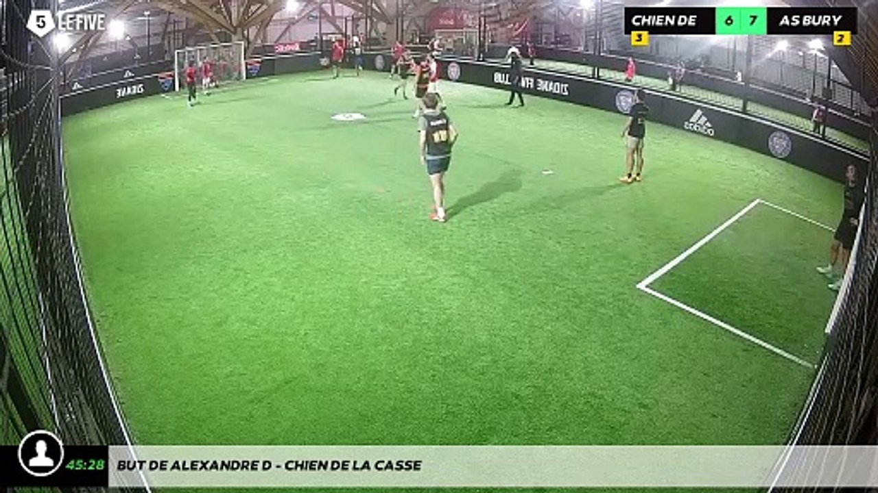 But de Alexandre D - Chien De La Casse
