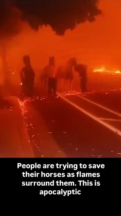 climate.apocalypse - People are trying to save their horses as flames surround them. This is apocalyptic