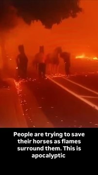 climate.apocalypse - People are trying to save their horses as flames surround them. This is apocalyptic