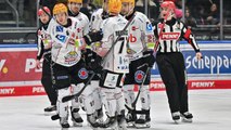 Tore satt: Fischtown Pinguins fertigen Augsburg ab