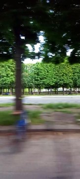 Paris, Capital of France, is a Beautiful European City #france #paristour #pariscity #travel (7)