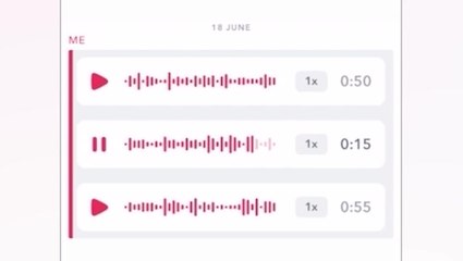 Disturbing Snapchat voice notes of predator who tried to murder 15-year-old victim