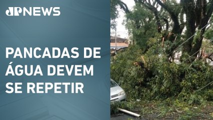 Fortes chuvas causam novo dia de transtornos em SP