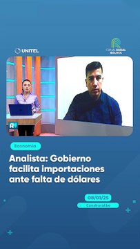 Analista Gobierno facilita importaciones ante falta de dólares