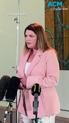 Senator Hanson-Young fears ’tech tycoons' could ‘infiltrate’ Australian elections