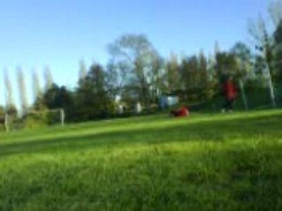 foot 37310