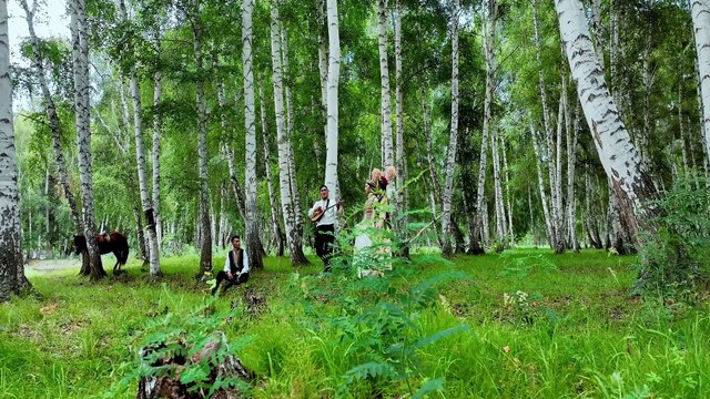 Exhibition of 2024 ISVC Outstanding Works 《See my Altay》