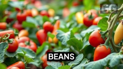 Healty - How to Lower Blood Sugar After Eating