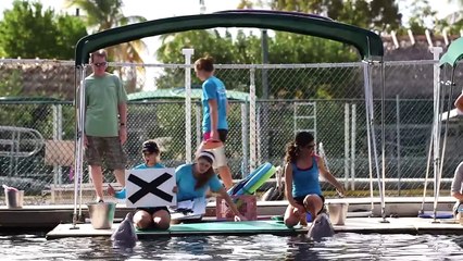 Here_s What We Know About Dolphin Intelligence _ National Geographic(720P_HD)