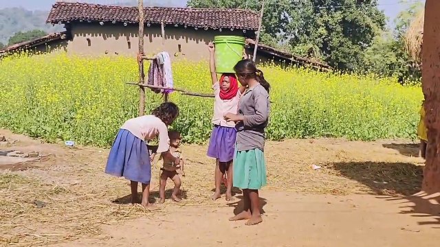 गढ़वा जिले के भंडारिया के जंगलों में बाघ का दहशत, शाम होते हीं घरों में दुबकने को मजबूर हैं ग्रामीण।