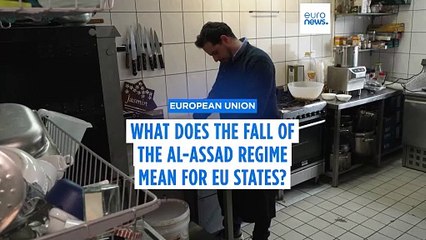 What does the fall of the Assad regime mean for EU Member States and their asylum policies?
