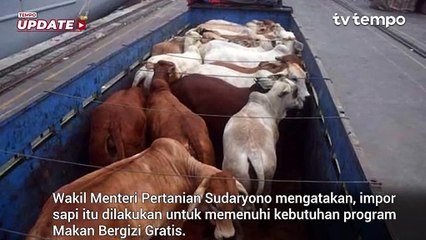 RI Bakal Impor 2 Juta Ekor Sapi hingga 2029, Wamentan: Untuk Makan Bergizi Gratis