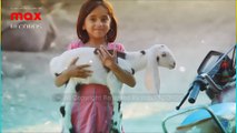Girl Loves Goats | Village Phulpota | Larkana Sindh Pakistan | max RECORDS