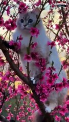 Scenic Valley to visit in world