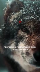 Rise & Inspire: Work Silently To Get Success