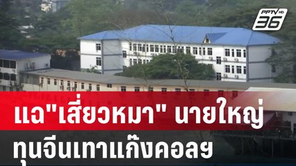 แฉ​"เสี่ยวหมา"นายใหญ่ตึก 25 ชั้น​ ทุนจีนเทาแก๊งคอลฯ | เที่ยงทันข่าว | 9 ม.ค. 67