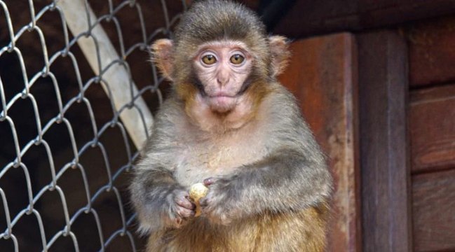 Terminalde kolide bulunmuştu: Antalya havası iyi geldi