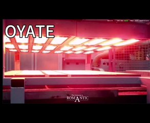 580mm 235v 1500w SK15 ruby infrared lamp IR heating lamps for injection blowing machine