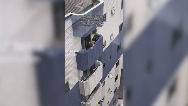 Graban el gesto de un hombre con sus perros: Que la vida te trate como tratas a tus animales