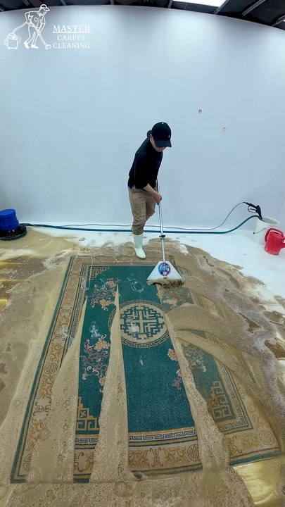 Spotless in Seconds： Carpet Cleaning Perfection #carpetcleaning #shorts