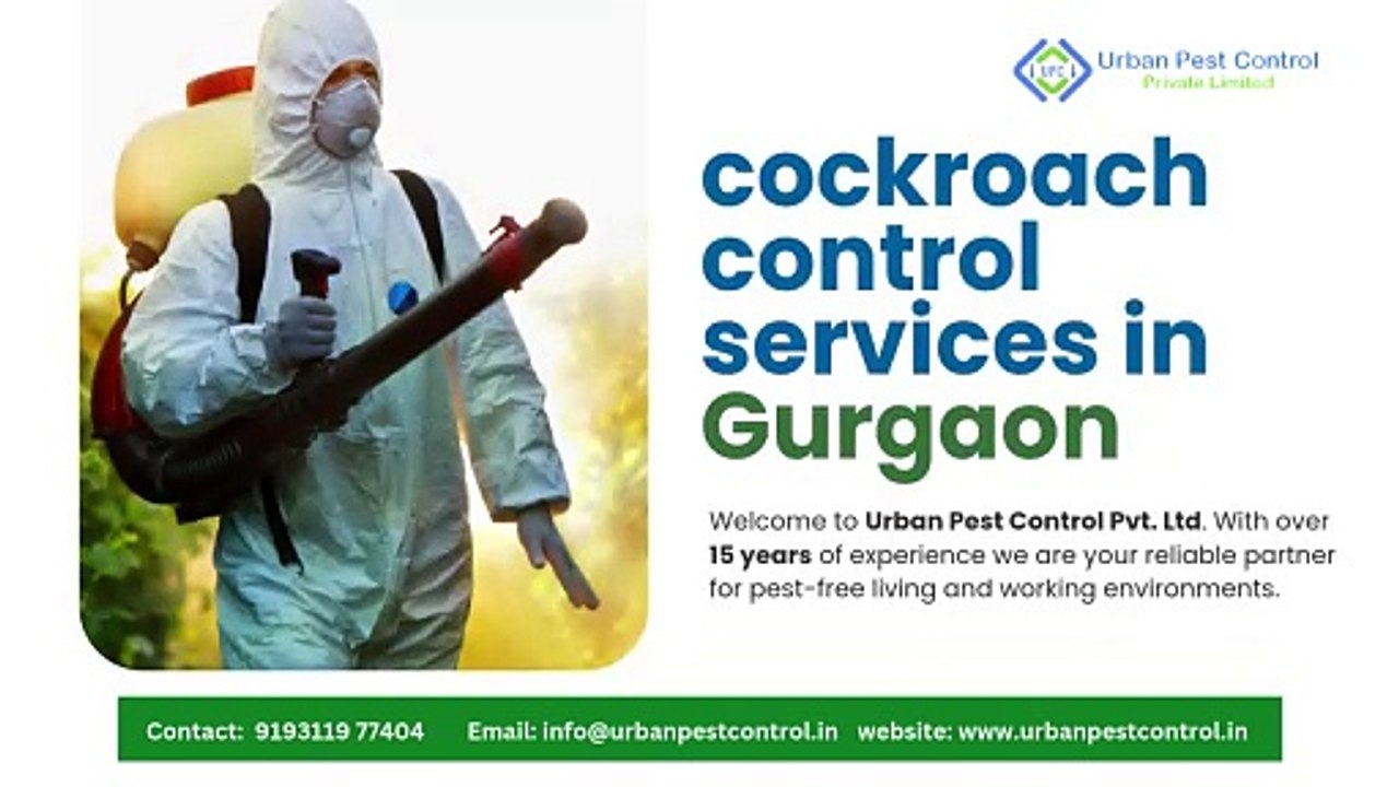 Cockroach Control Services in Gurgaon