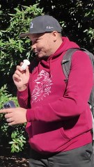 Qui est le HÉROS le plus SURCOTÉ de ZELDA ?