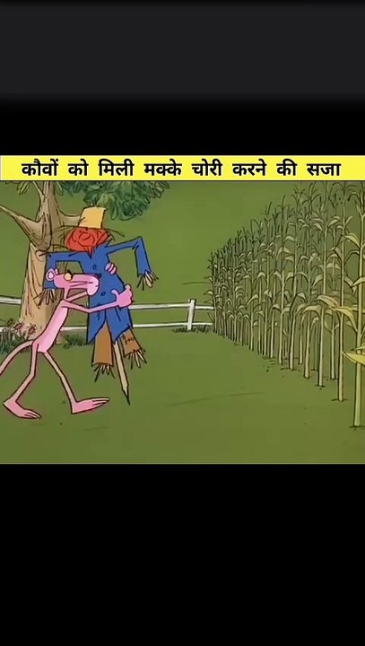 कौवों को मिली मक्के चोरी करने की सजा