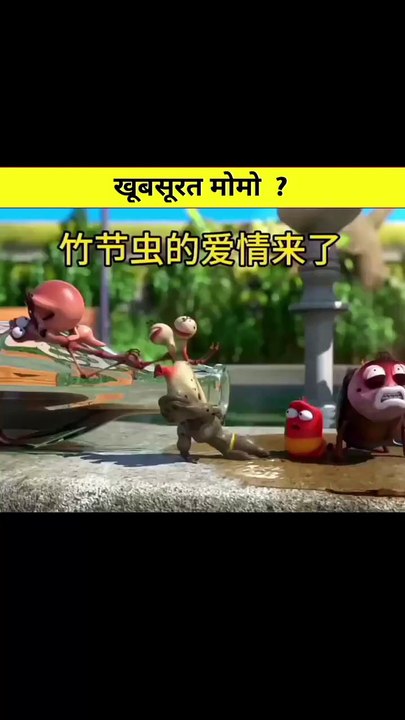 खुबसूरत मोमो.
