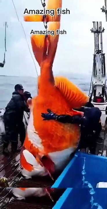 DUA Wazifa! #shorts #reel #wazifa #dua #allah #makkah #madina #viral #quran #foryou #allahuakbar (7)