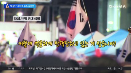 ‘백골단’ 국회로 부른 김민전