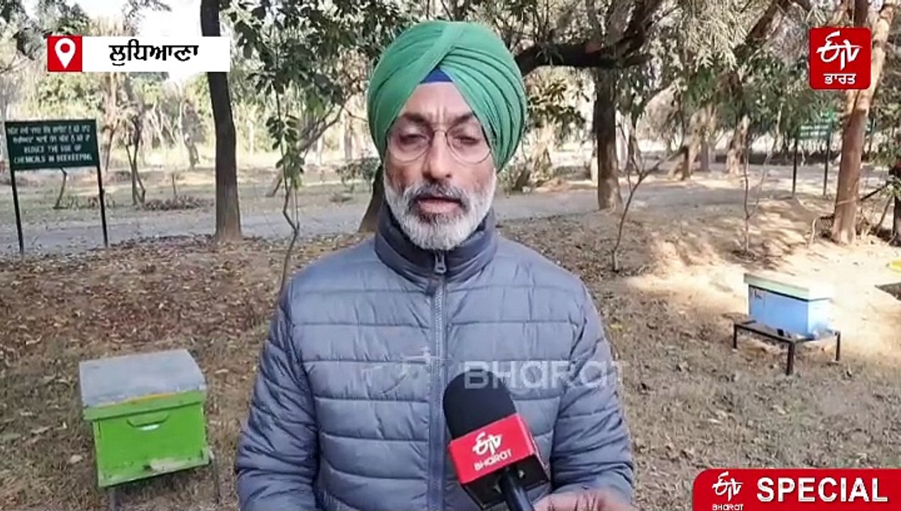 ਸ਼ੁੱਧ ਸ਼ਹਿਦ ਵੀ ਜੰਮ ਜਾਂਦਾ ਹੈ ਸਰਦੀਆਂ ਦੇ ਵਿੱਚ ਵੇਖੋ ਹੋਰ ਸਿਹਤ ਲਈ ਕਿੰਨਾ ਜਰੂਰੀ ਸ਼ਹਿਦ ਅਤੇ ਕਿਵੇਂ ਕਰੀਏ ਮਧੂ ਮੱਖੀਆਂ ਦੀ ਸਰਦੀਆਂ ਦੇ ਵਿੱਚ ਦੇਖਭਾਲ